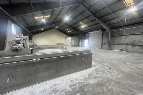 Immobilier commercial à louer à Tampa, Floride: 3371.98 m2 № 392438 - photo 13