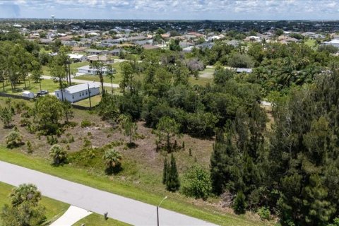 Land in Punta Gorda, Florida № 1808819 - photo 18