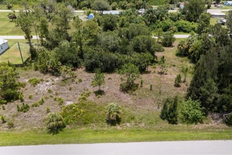 Land in Punta Gorda, Florida № 1808819 - photo 13