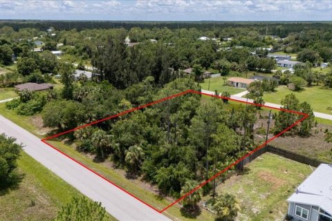 Land in Punta Gorda, Florida № 1808819 - photo 9