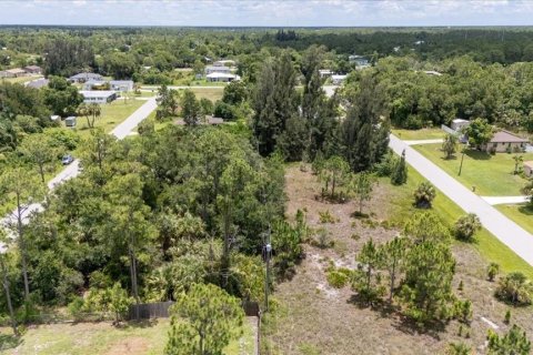 Land in Punta Gorda, Florida № 1808819 - photo 10