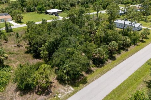 Land in Punta Gorda, Florida № 1808819 - photo 17