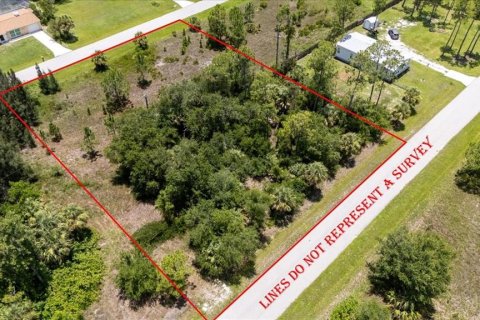 Land in Punta Gorda, Florida № 1808819 - photo 2