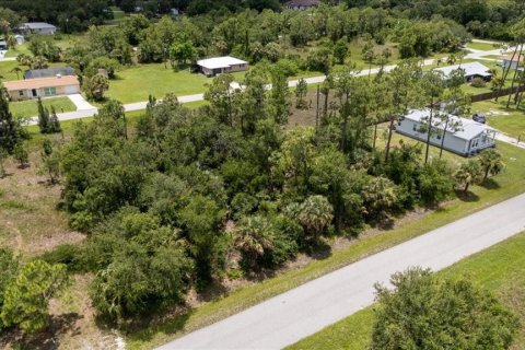 Land in Punta Gorda, Florida № 1808819 - photo 6