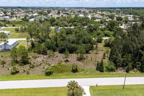 Land in Punta Gorda, Florida № 1808819 - photo 12