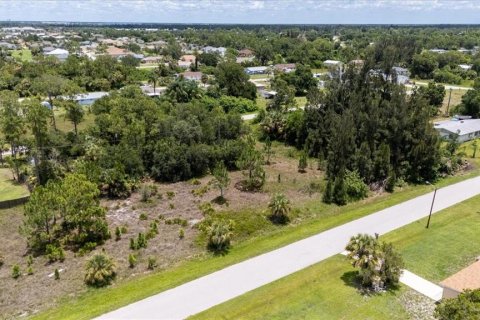 Land in Punta Gorda, Florida № 1808819 - photo 11