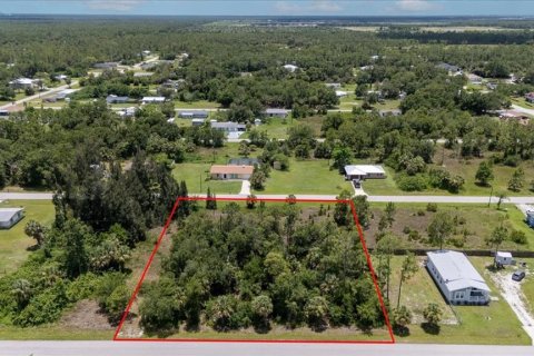 Land in Punta Gorda, Florida № 1808819 - photo 23