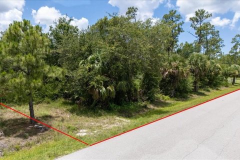 Land in Punta Gorda, Florida № 1808819 - photo 3