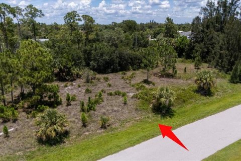 Land in Punta Gorda, Florida № 1808819 - photo 30