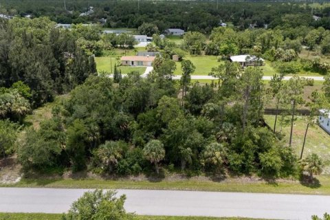 Land in Punta Gorda, Florida № 1808819 - photo 5