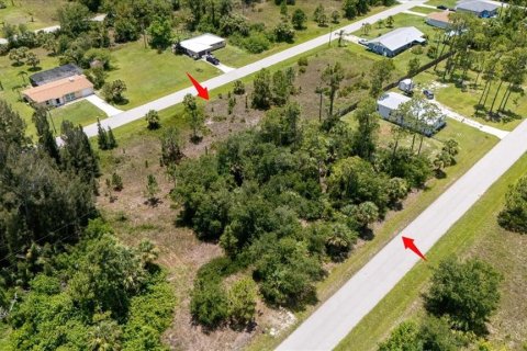 Land in Punta Gorda, Florida № 1808819 - photo 28