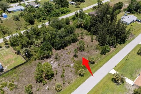 Land in Punta Gorda, Florida № 1808819 - photo 25