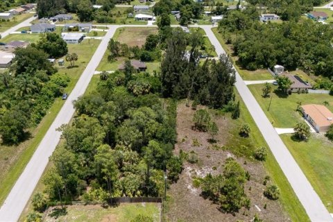 Land in Punta Gorda, Florida № 1808819 - photo 20