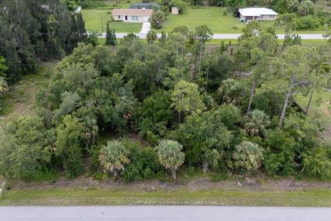Land in Punta Gorda, Florida № 1808819 - photo 16
