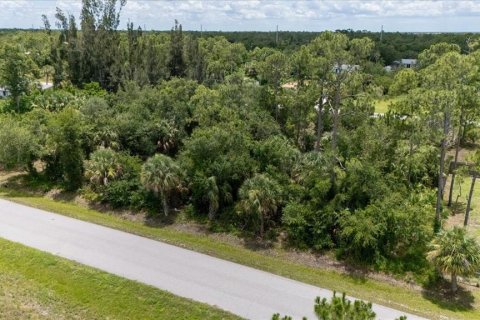 Land in Punta Gorda, Florida № 1808819 - photo 4