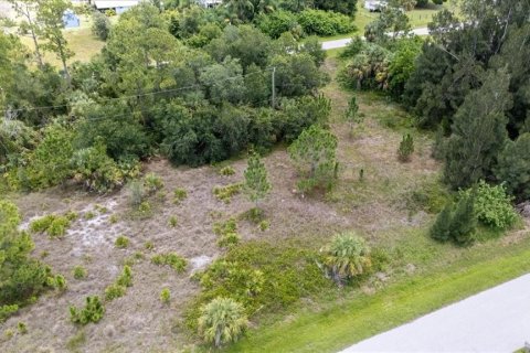 Land in Punta Gorda, Florida № 1808819 - photo 15