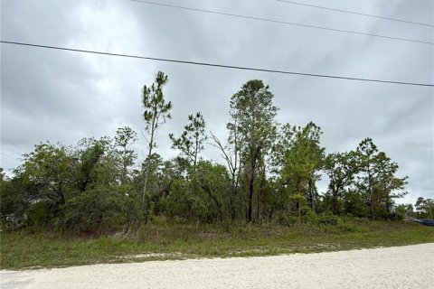 Terreno en venta en Weeki Wachee, Florida № 1771839 - foto 2