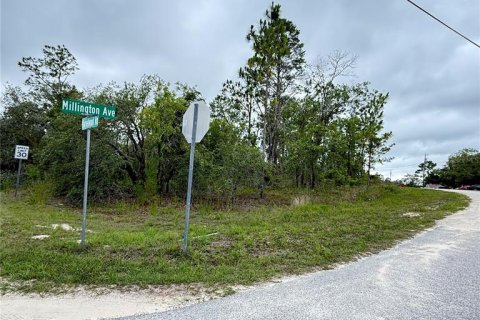 Terreno en venta en Weeki Wachee, Florida № 1771839 - foto 3