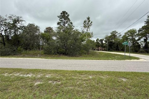 Terreno en venta en Weeki Wachee, Florida № 1771839 - foto 4