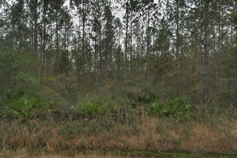 Land in Hastings, Florida № 2164899