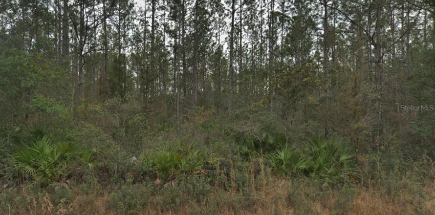 Land in Hastings, Florida № 2164899