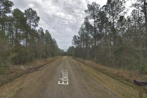Land in Hastings, Florida № 2164899 - photo 7
