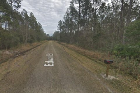 Land in Hastings, Florida № 2164899 - photo 2
