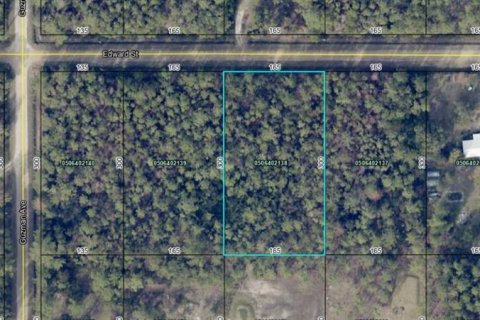 Land in Hastings, Florida № 2164899 - photo 3