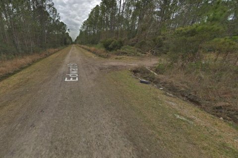 Land in Hastings, Florida № 2164899 - photo 5