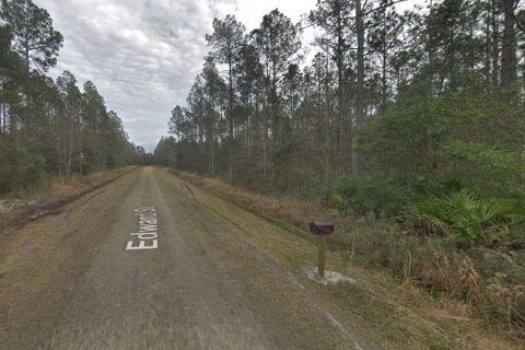 Land in Hastings, Florida № 2164899 - photo 10
