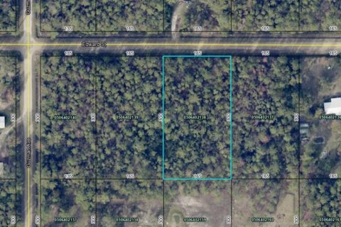 Land in Hastings, Florida № 2164899 - photo 8