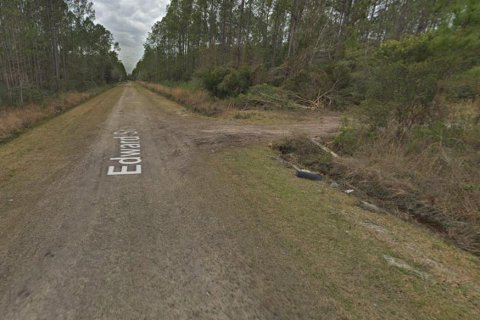 Land in Hastings, Florida № 2164899 - photo 9