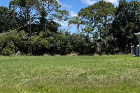 Land in Fort Pierce, Florida № 1224432 - photo 1