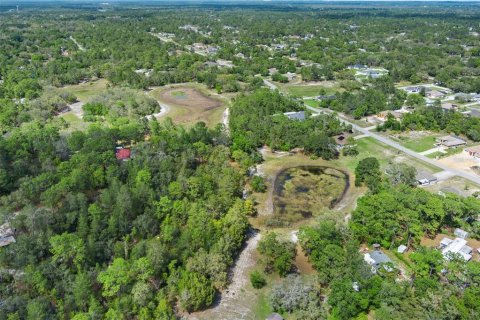 Terreno en venta en Weeki Wachee, Florida № 1629052 - foto 3