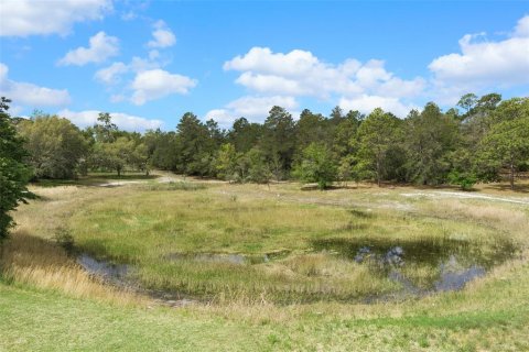 Terreno en venta en Weeki Wachee, Florida № 1629052 - foto 16
