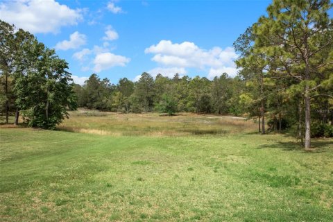 Terreno en venta en Weeki Wachee, Florida № 1629052 - foto 14