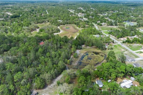 Terreno en venta en Weeki Wachee, Florida № 1629052 - foto 11