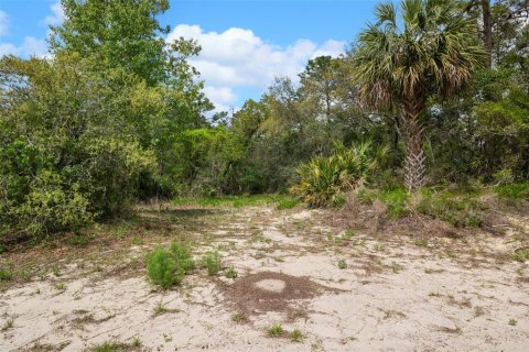 Terreno en venta en Weeki Wachee, Florida № 1629052 - foto 15