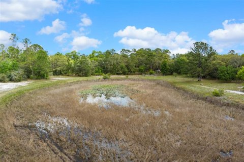 Terreno en venta en Weeki Wachee, Florida № 1629052 - foto 19