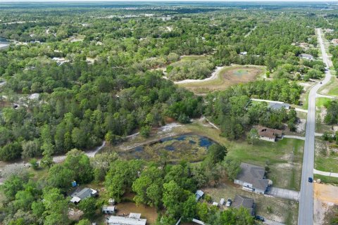 Terreno en venta en Weeki Wachee, Florida № 1629052 - foto 2