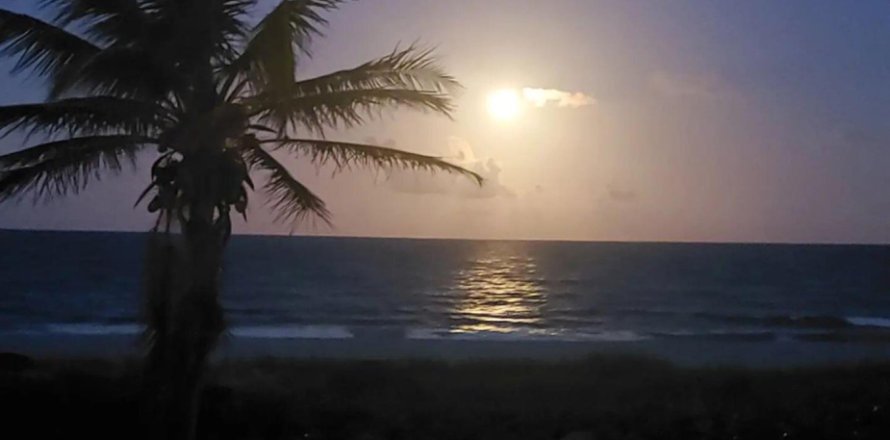 Condo à Highland Beach, Floride, 2 chambres № 1210297