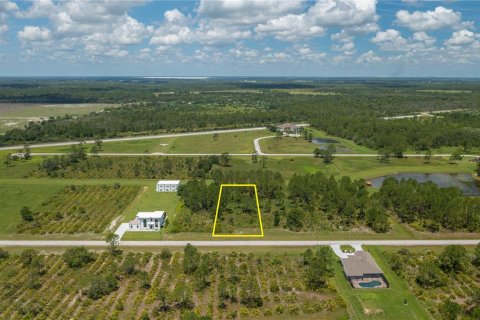 Land in Frostproof, Florida № 1802270 - photo 3
