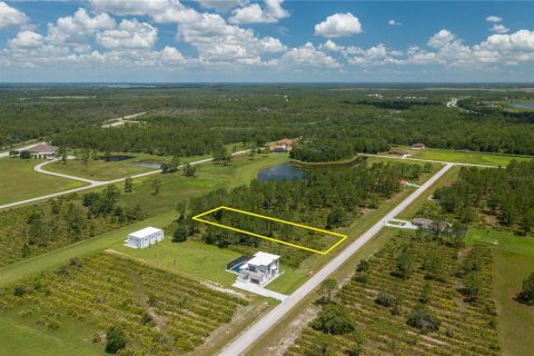 Land in Frostproof, Florida № 1802270 - photo 5
