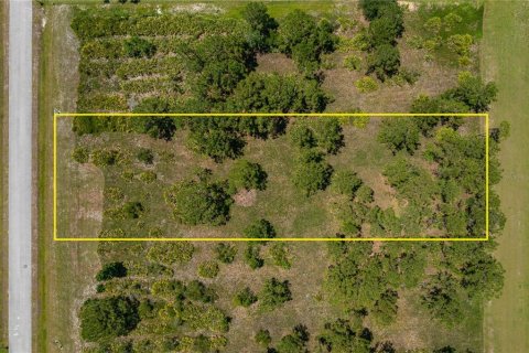 Land in Frostproof, Florida № 1802270 - photo 15