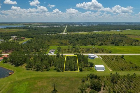 Land in Frostproof, Florida № 1802270 - photo 7