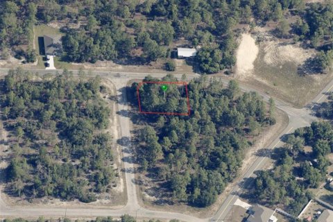 Land in Dunnellon, Florida № 2163356