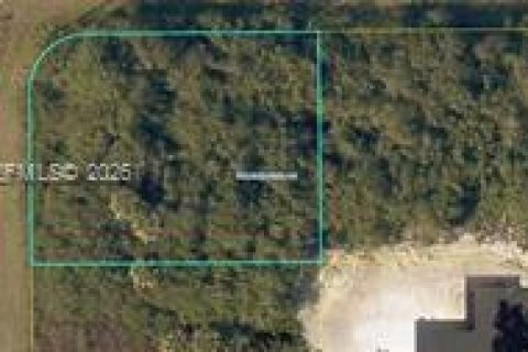 Land in LaBelle, Florida № 2158260 - photo 2