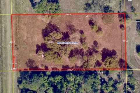 Купить коммерческую недвижимость в Клуистон, Флорида № 2035740 - фото 3