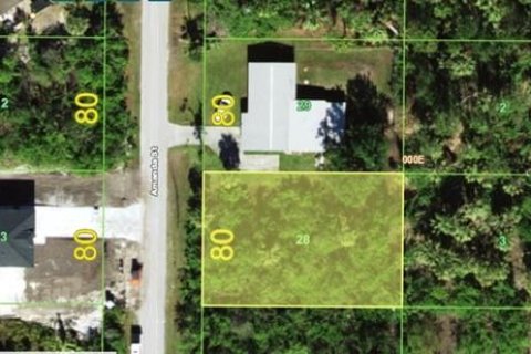 Land in Punta Gorda, Florida № 2159242
