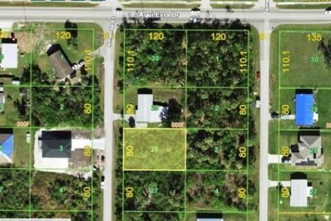 Land in Punta Gorda, Florida № 2159242 - photo 2
